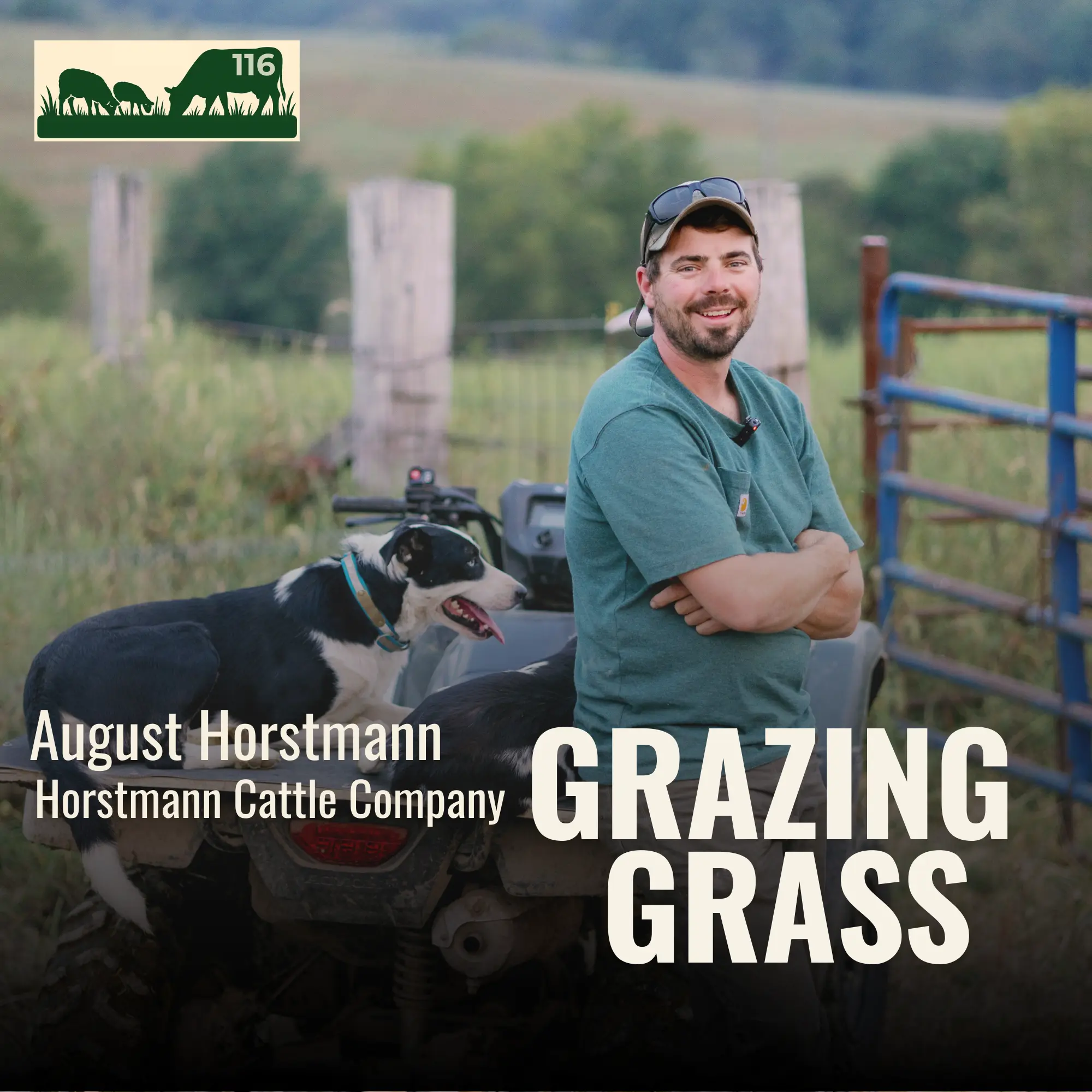 116 | August Horstmann, Horstmann Cattle Company