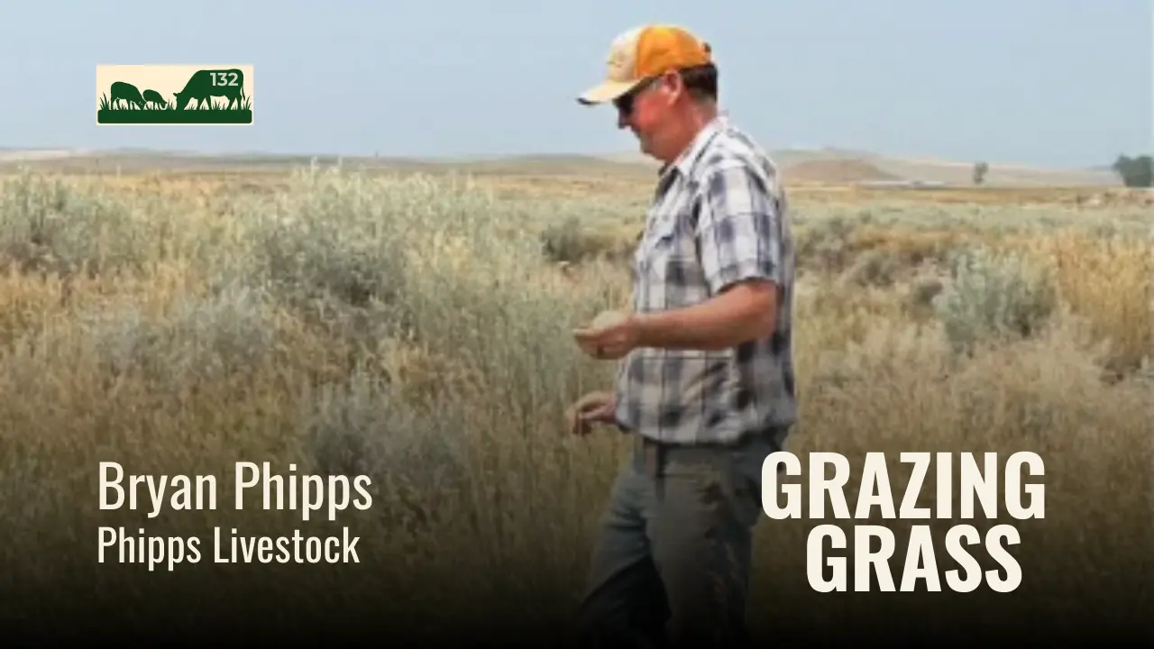 132 | Bryan Phipps, Phipps Livestock