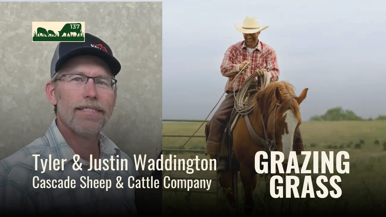137 | Tyler & Justin Waddington, Cascade Sheep & Cattle Company