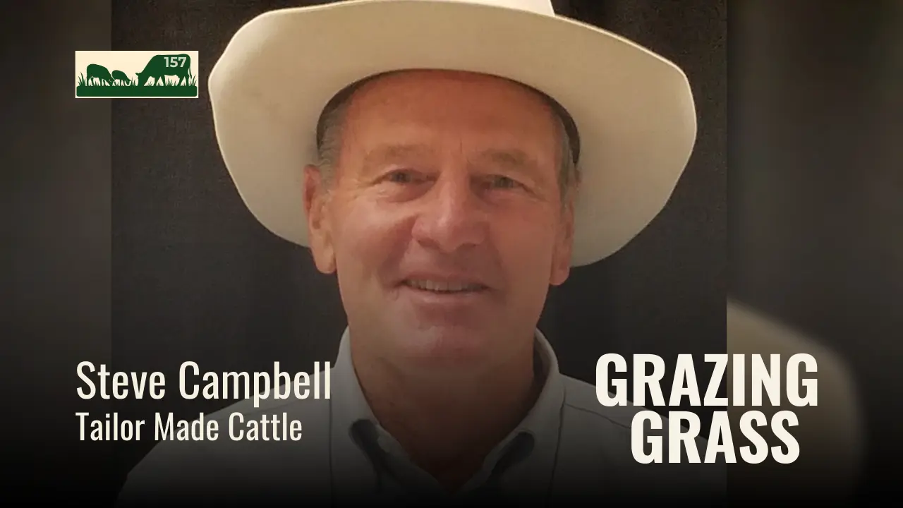 157 | Steve Campbell, Tailor Made Cattle