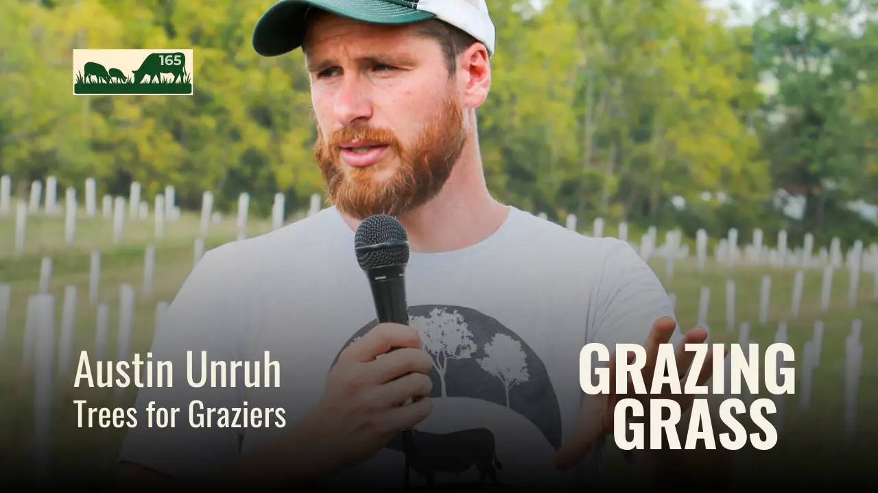 165 | Austin Unruh, Tree for Graziers
