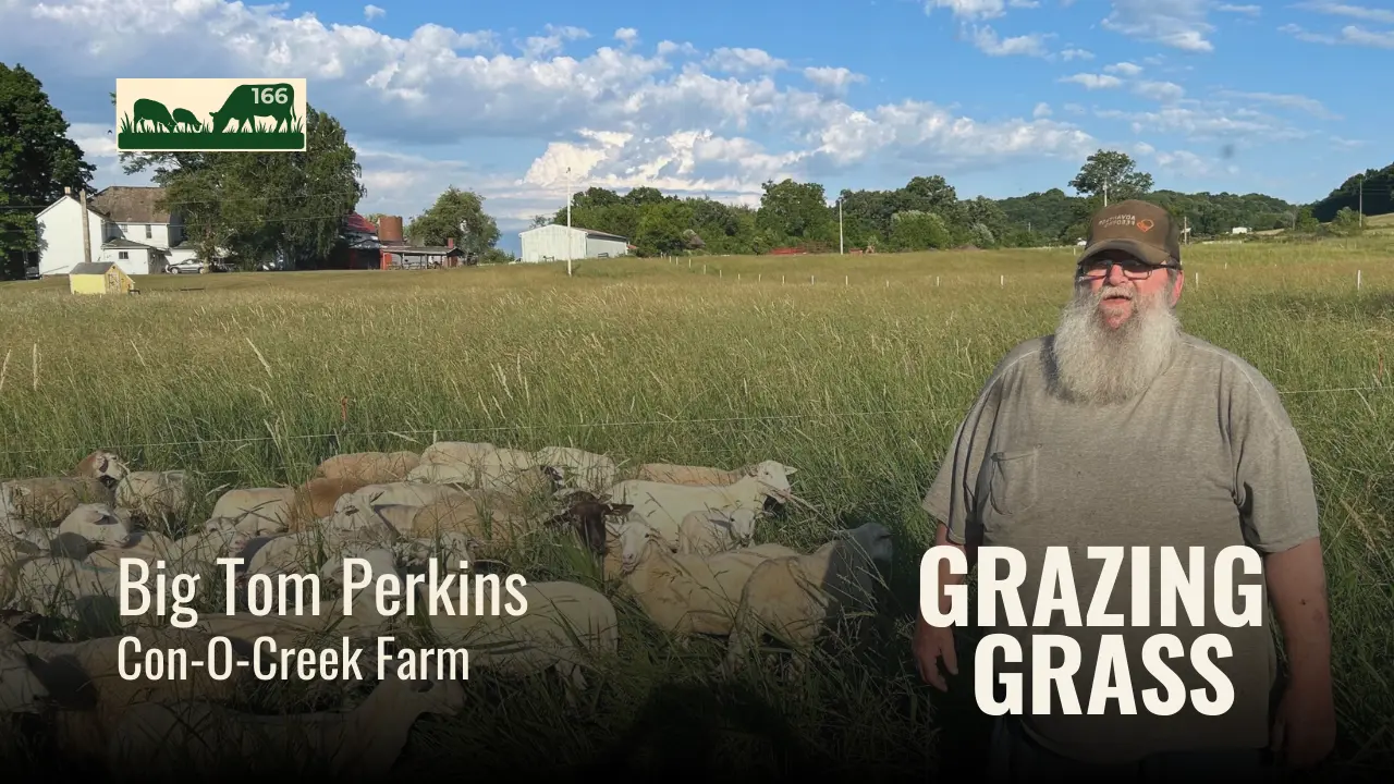 166 | Big Tom Perkins, Con-O-Creek Farm