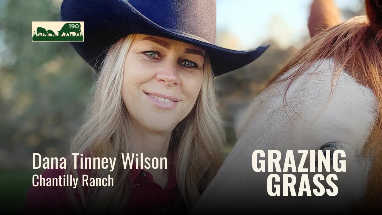 190 | Dana Tinney Wilson, Chantilly Ranch