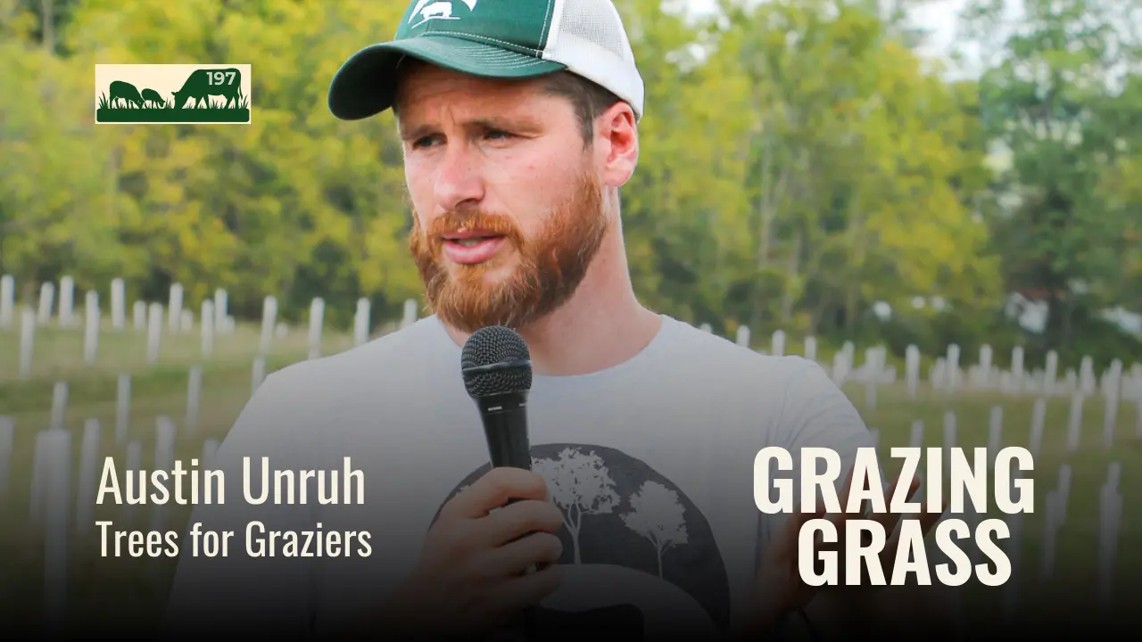 197 | Austin Unruh, Tree for Graziers