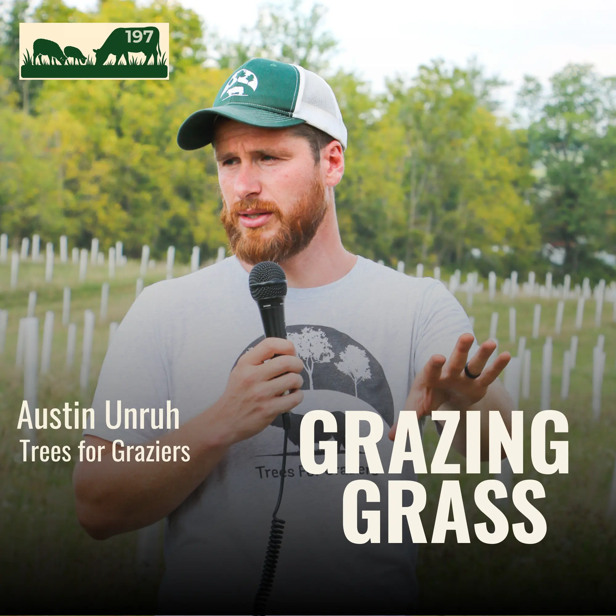 197 | Austin Unruh, Tree for Graziers