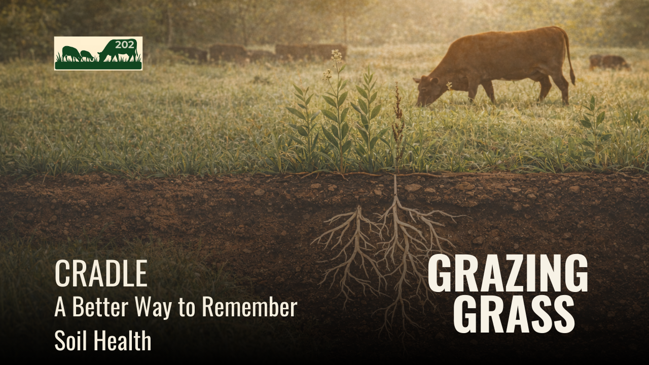 202. Soil Is the CRADLE of Life: A Better Way to Remember Soil Health Principles