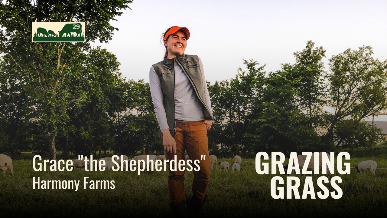 e29. The Shepherdess at Harmony Farms - Start as Small as Possible