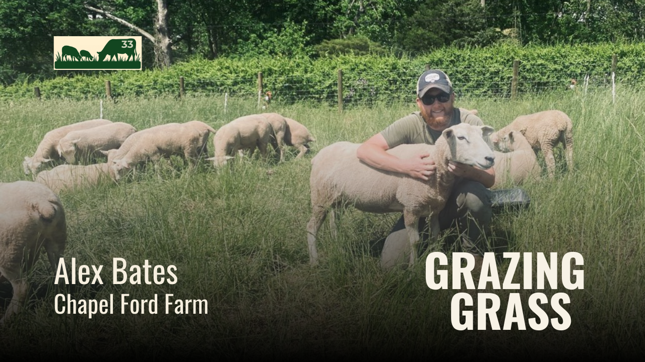 e33. Alex Bates - Chickens, Turkeys, and Wool Sheep, Oh My