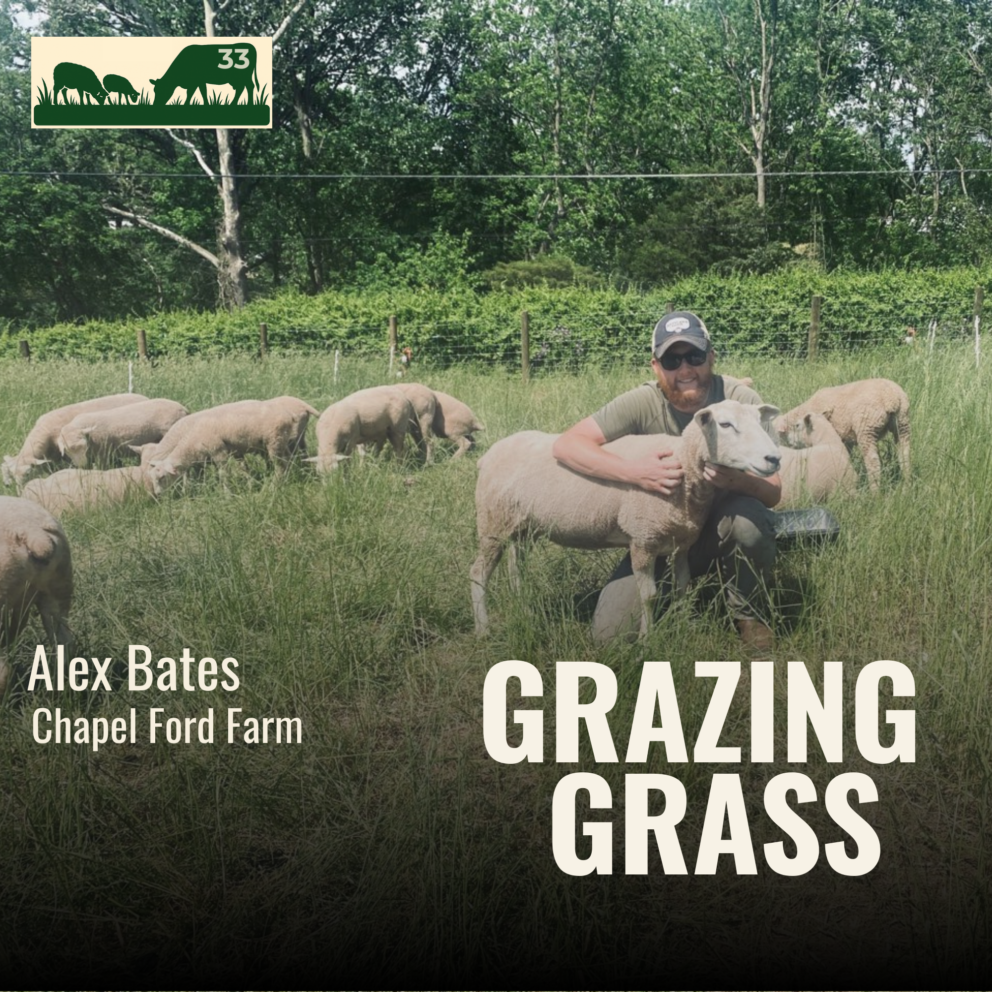 e33. Alex Bates - Chickens, Turkeys, and Wool Sheep, Oh My