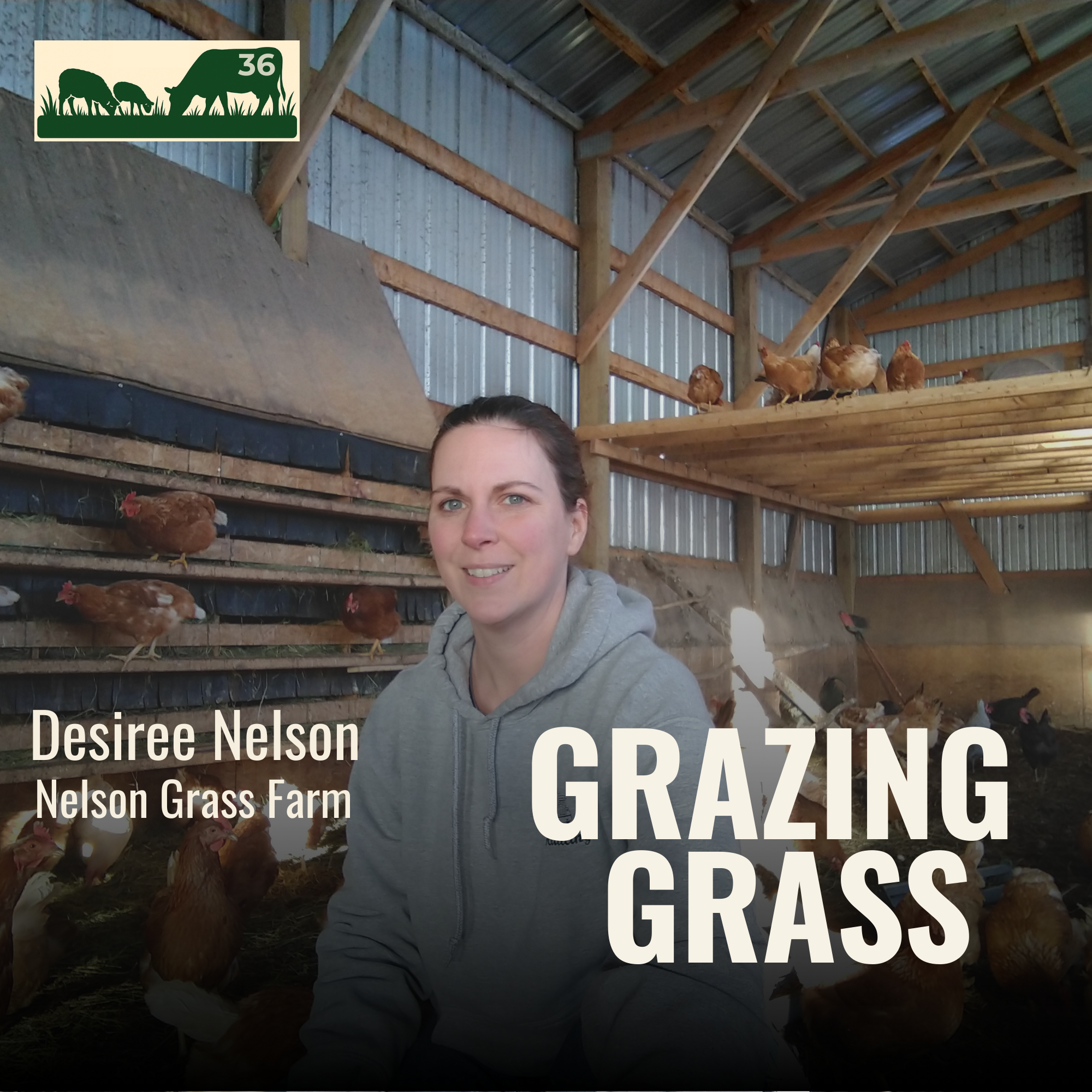 e36. Desiree Nelson - Multi-species Grass Farm in Minnesota