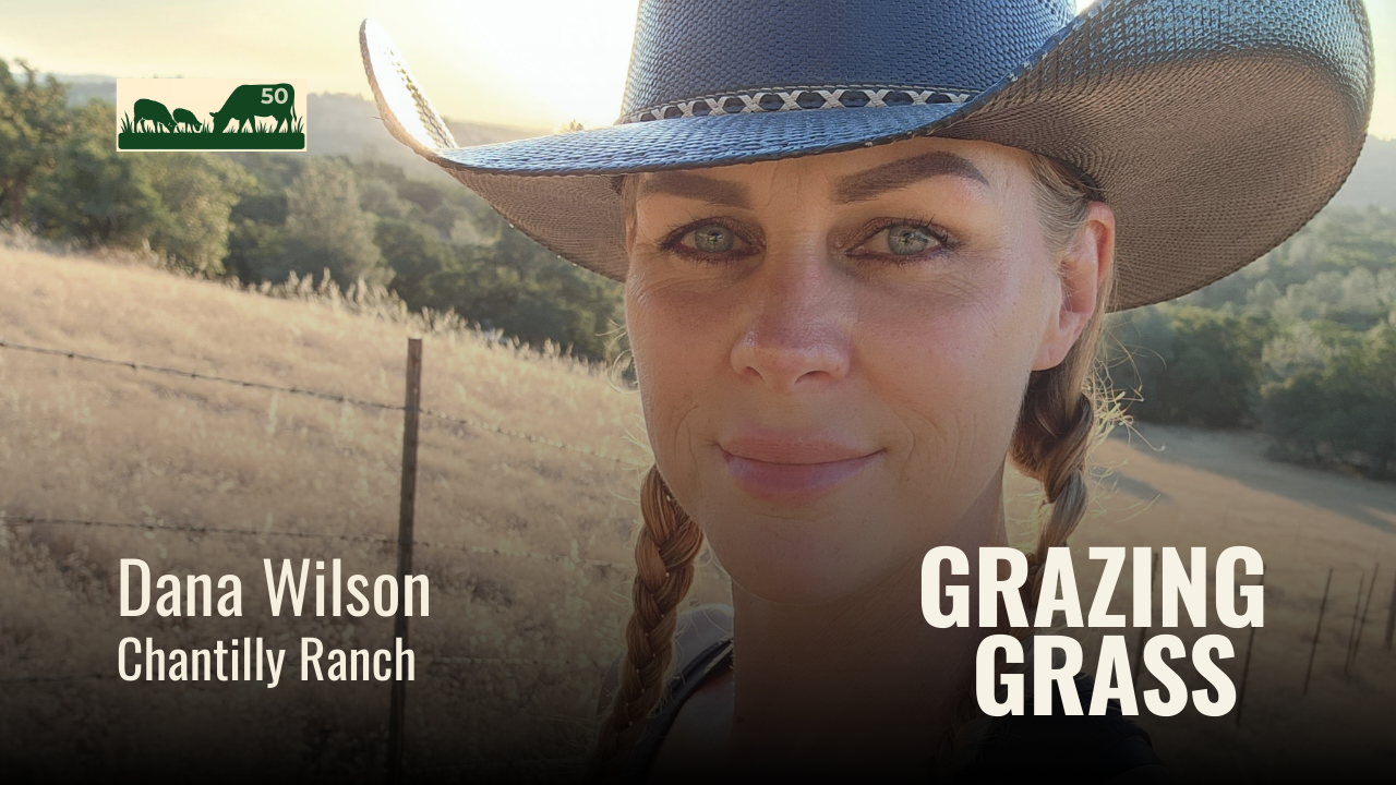 e50. Exploring the Power of Regenerative Ranching and Agro-tourism in California with Dana Wilson