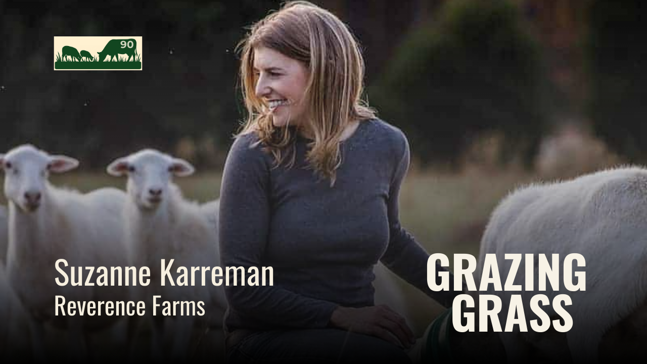 e90. Cultivating Dairy Dreams with Grass and Compassion with Suzanne Karreman