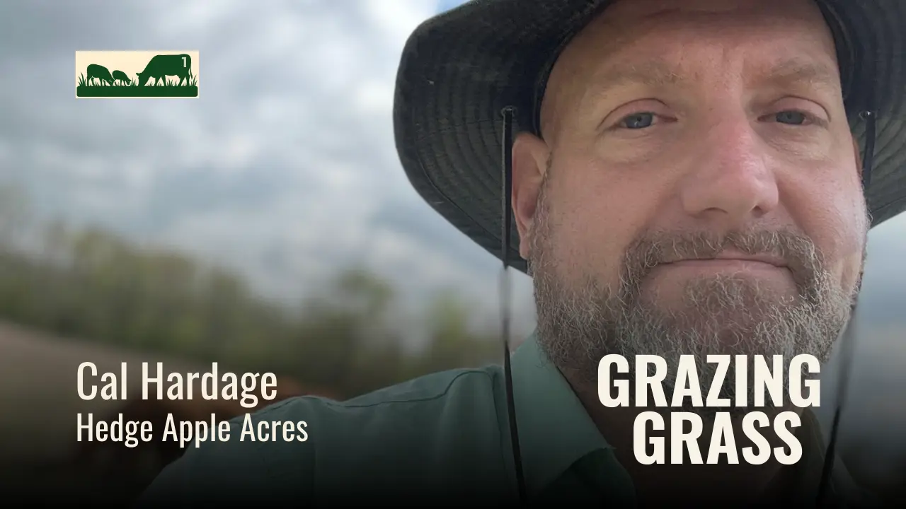 Episode 1 – Famous Four Questions