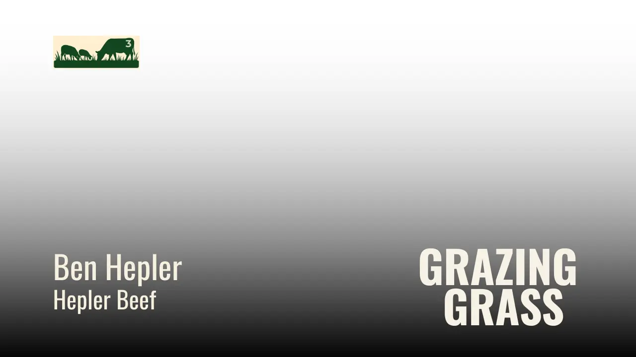 Episode 3 – Famous Four Questions