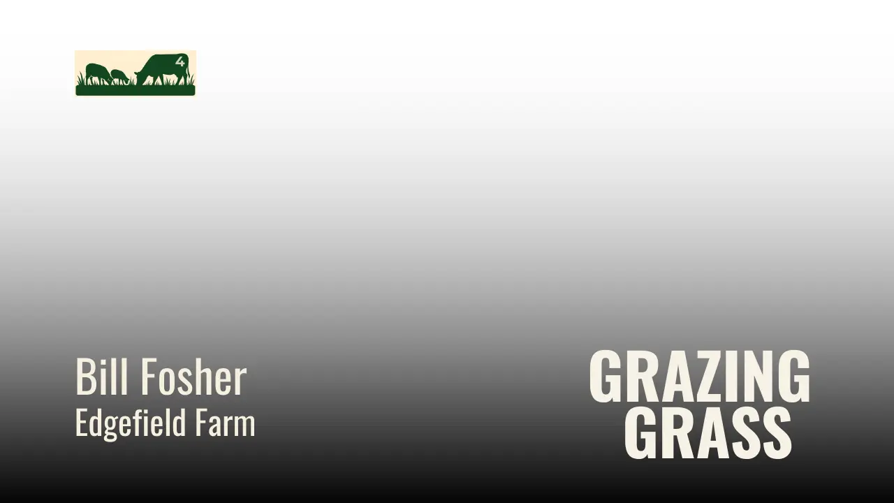 Episode 4 – Famous Four Questions