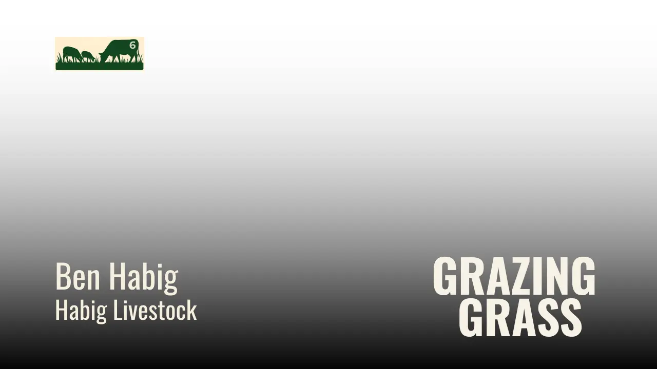 Episode 6 – Famous Four Questions