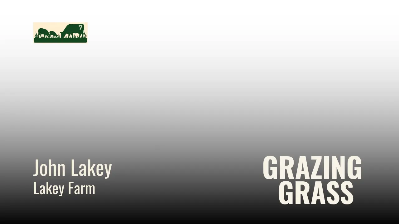 Episode 7 – Famous Four Questions