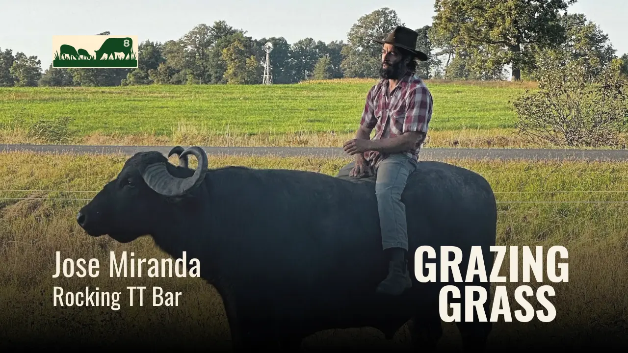 Episode 8 – Famous Four Questions