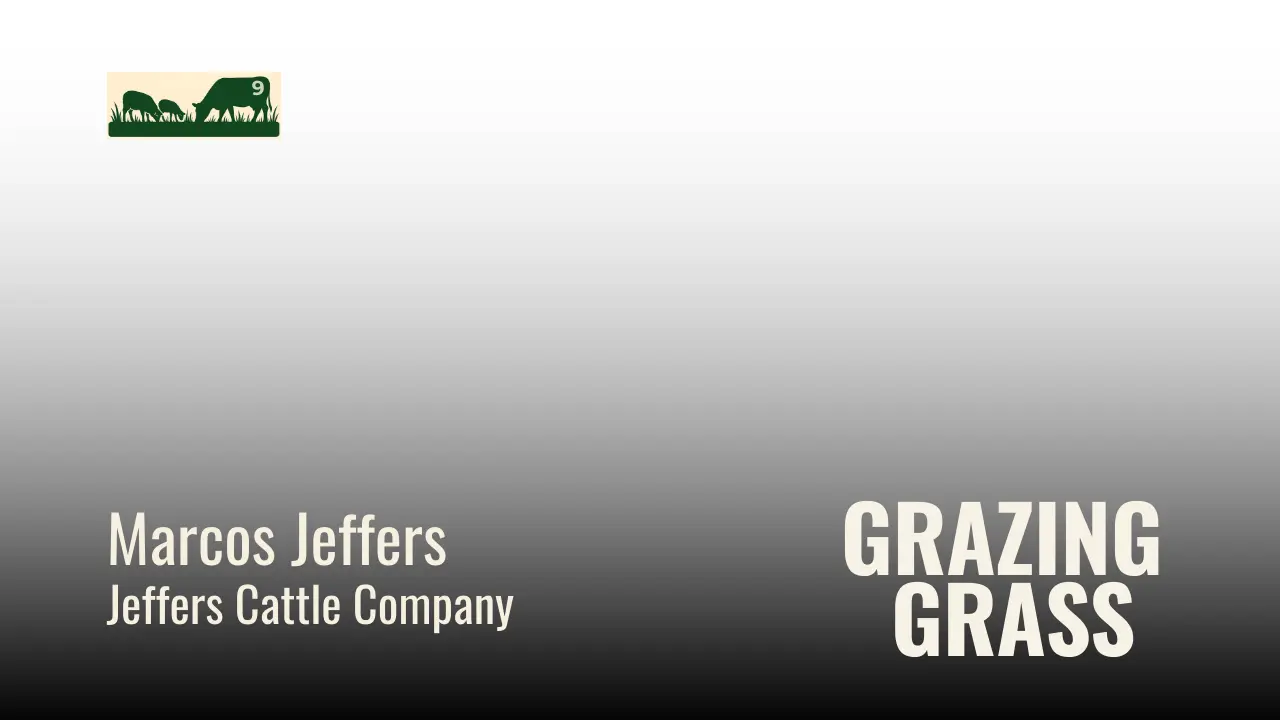 Episode 9 – Famous Four Questions