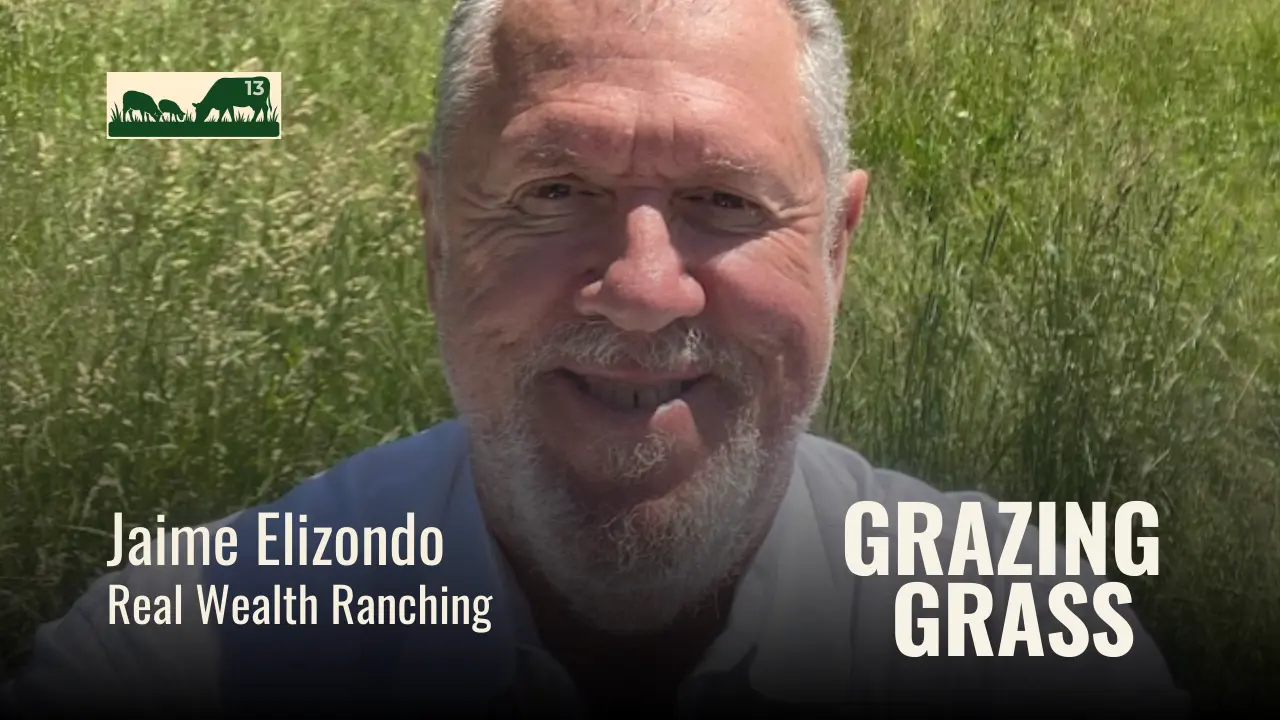 Episode 13 – Famous Four Questions