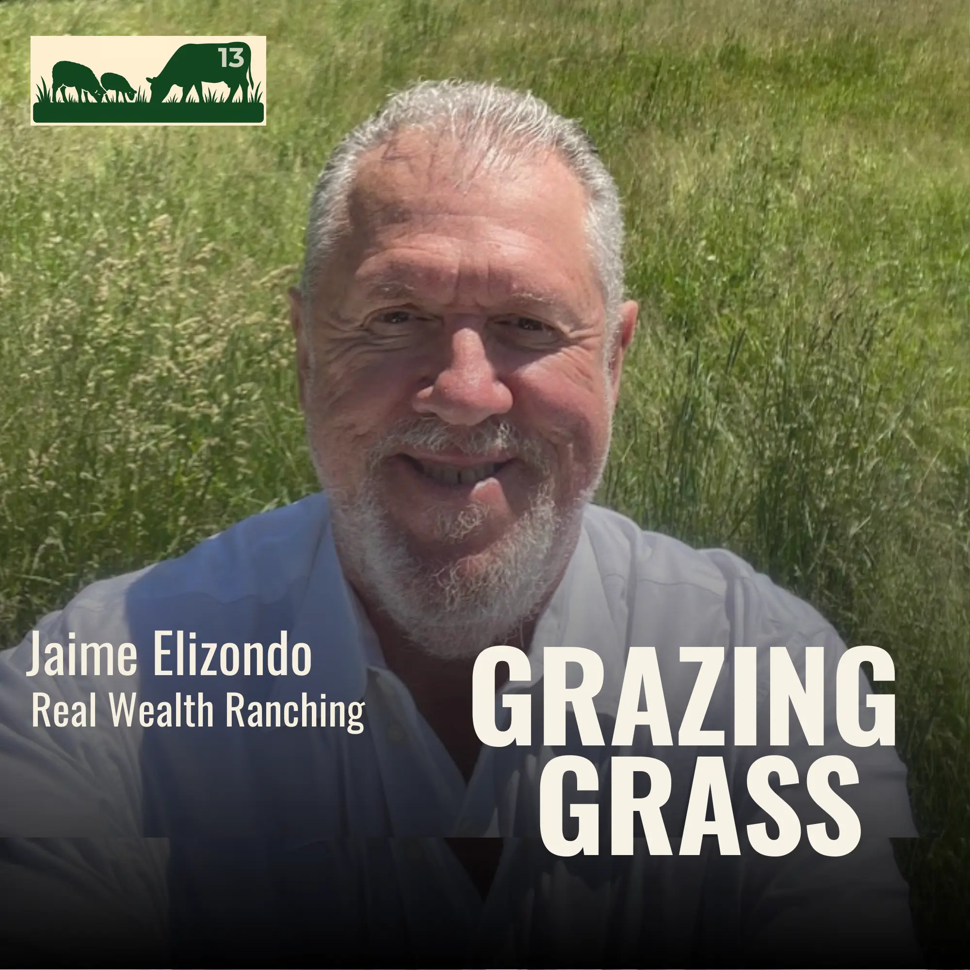 Episode 13 – Famous Four Questions