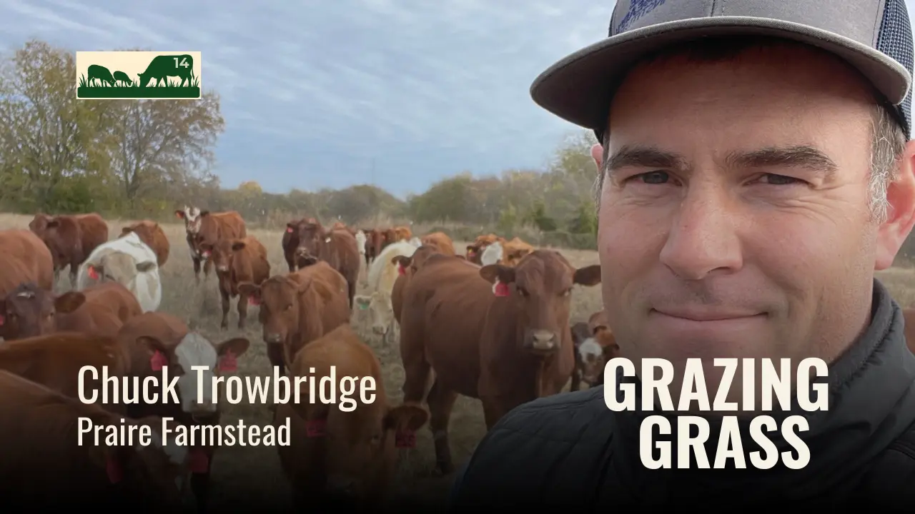 Episode 14 – Famous Four Questions