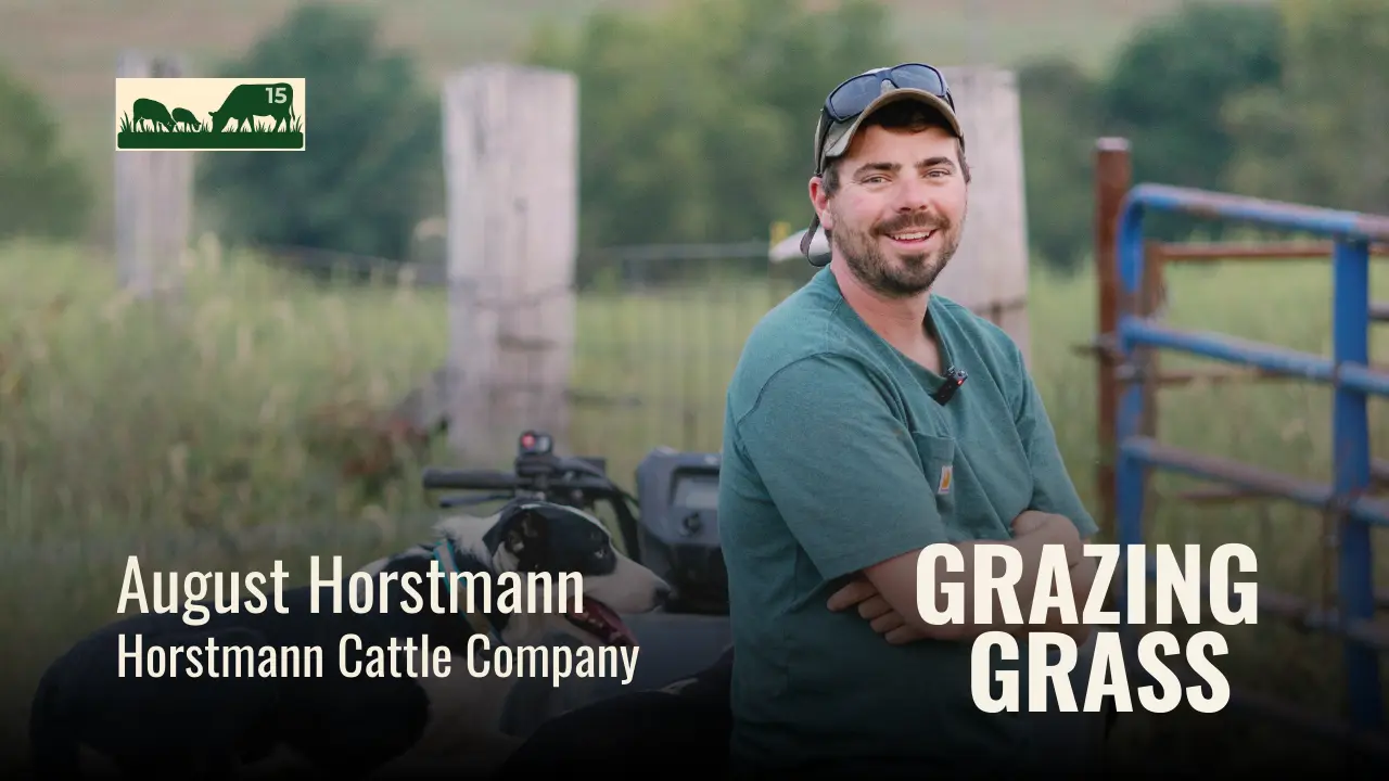 Episode 15 – Famous Four Questions