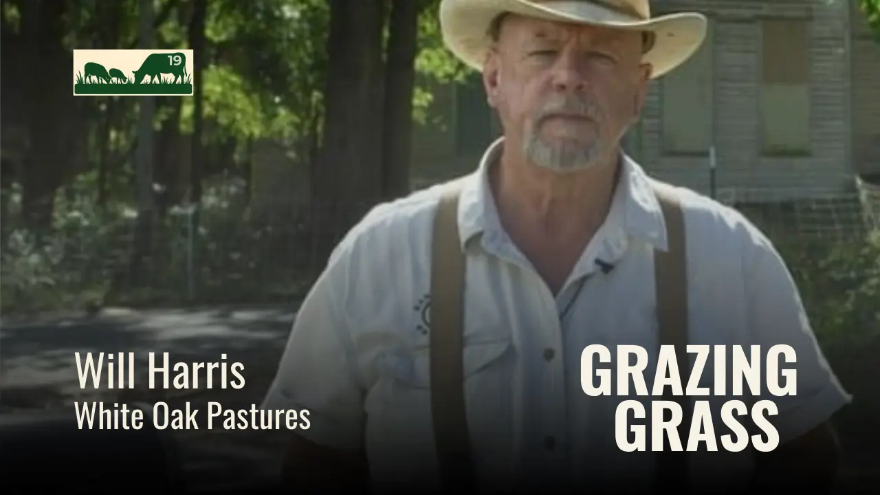 Episode 19 – Famous Four Questions