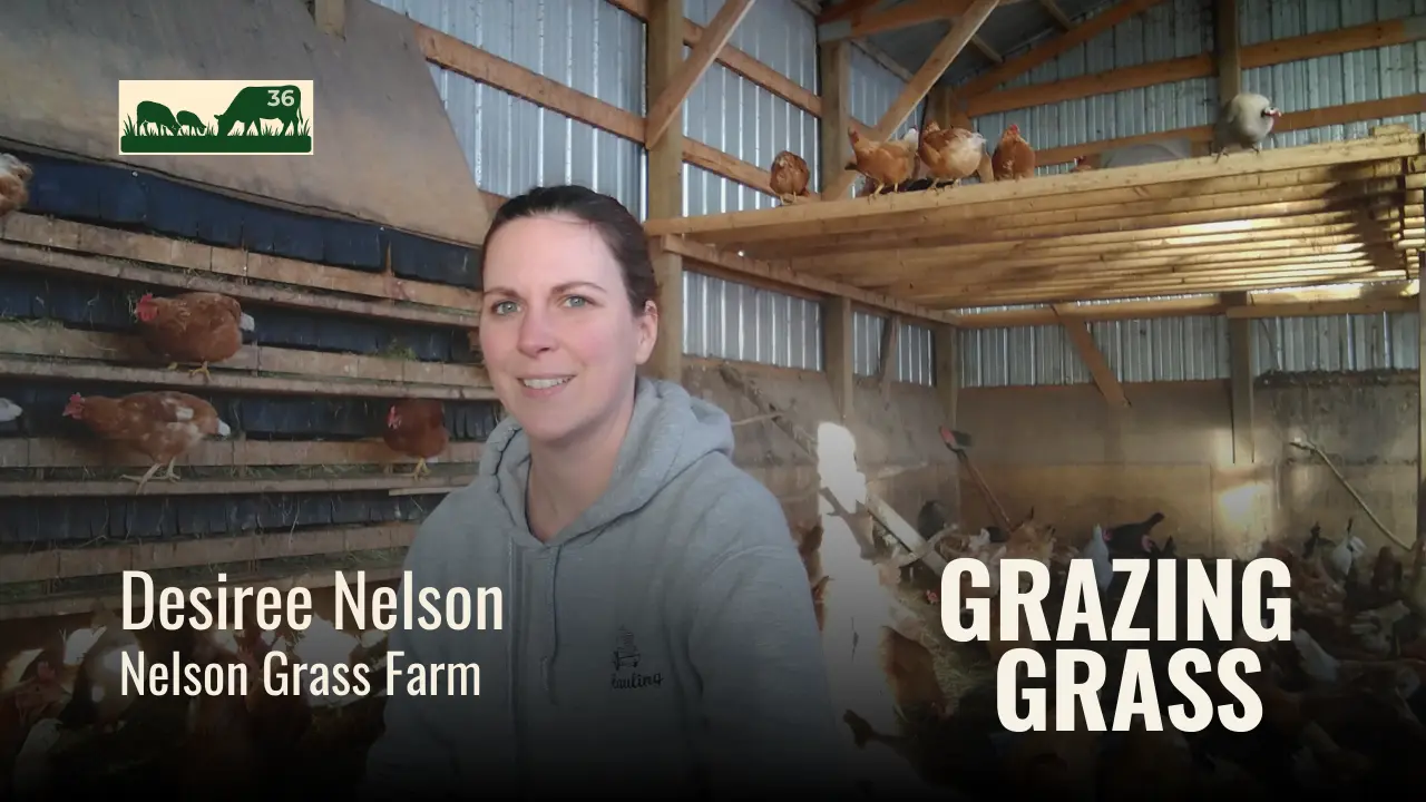 e36. Desiree Nelson - Multi-species Grass Farm in Minnesota