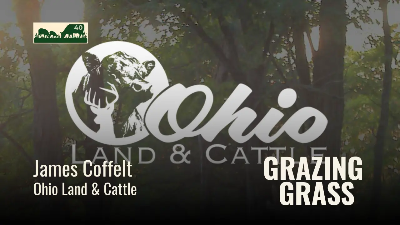 e40. Low Input Management with Ohio Land and Cattle