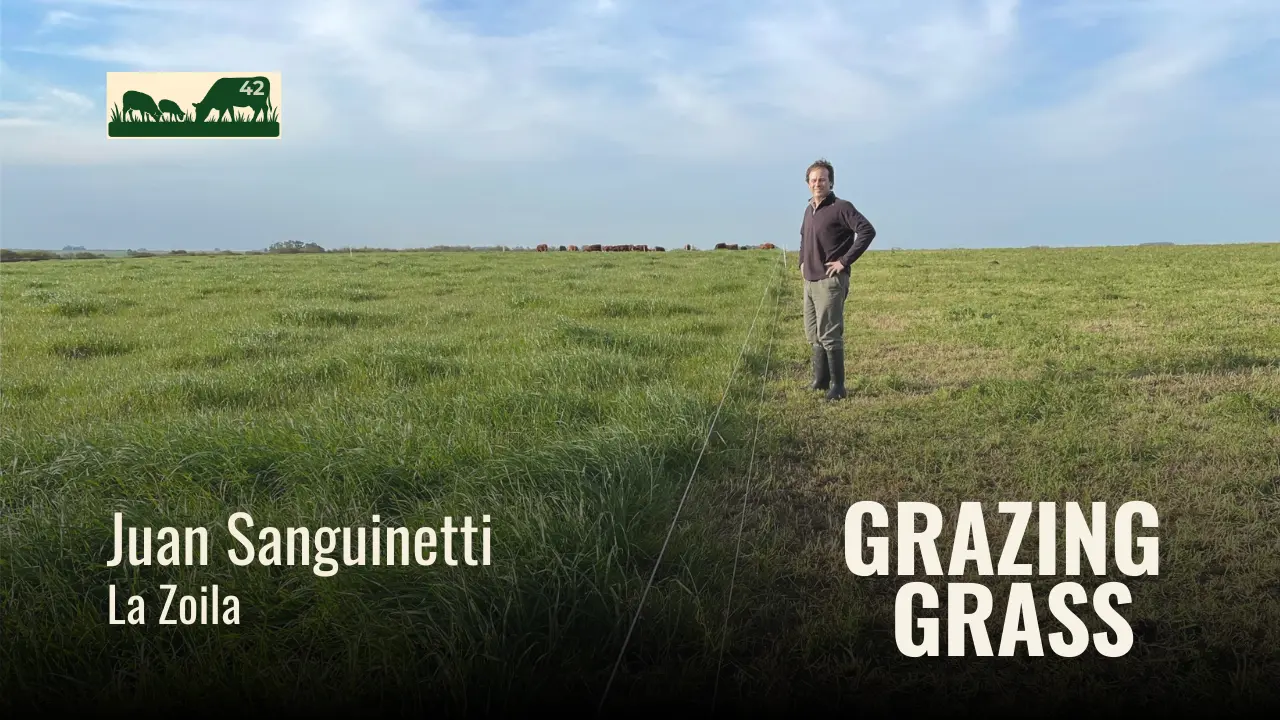 e42. From the City to Multi-Species Grazing with Juan Sanguinetti