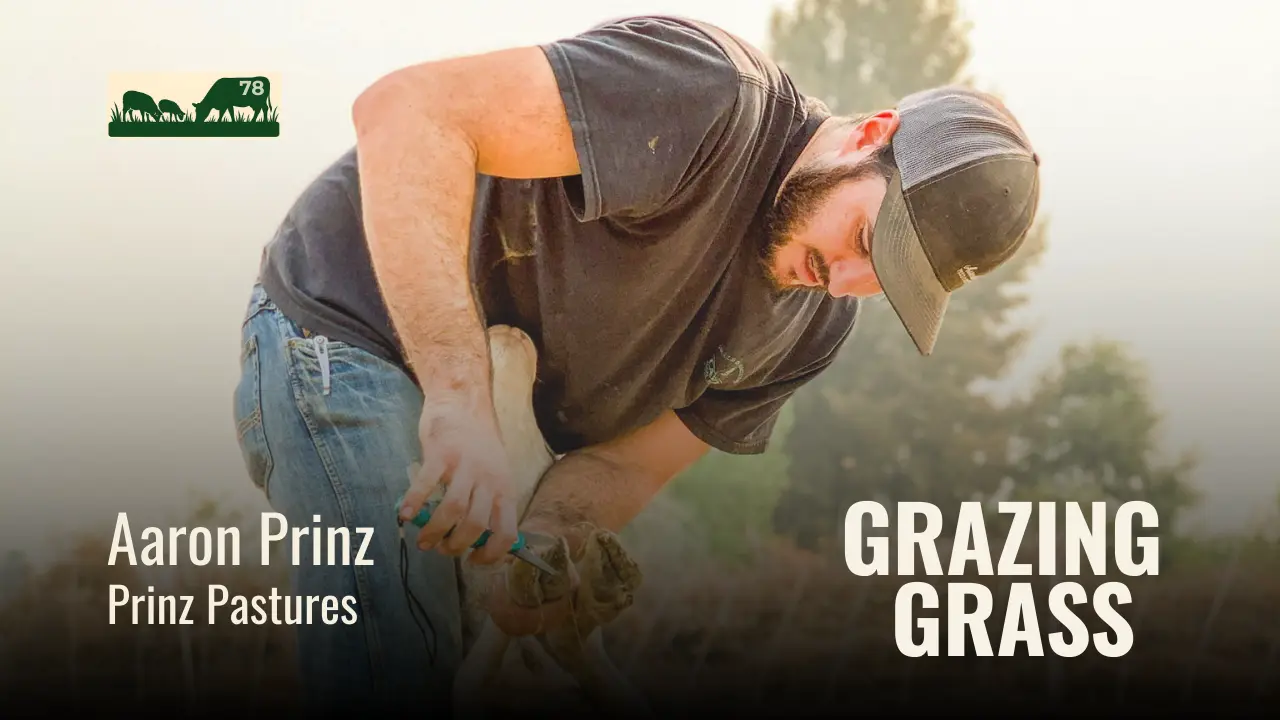 e78. Positive Disruption with Aaron Prinz