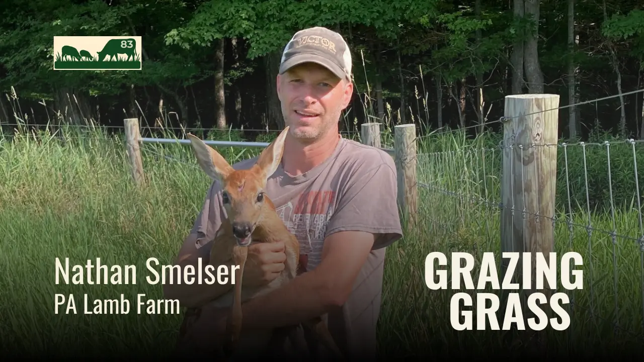 e83. Learning the Ropes with Nathan Smelser