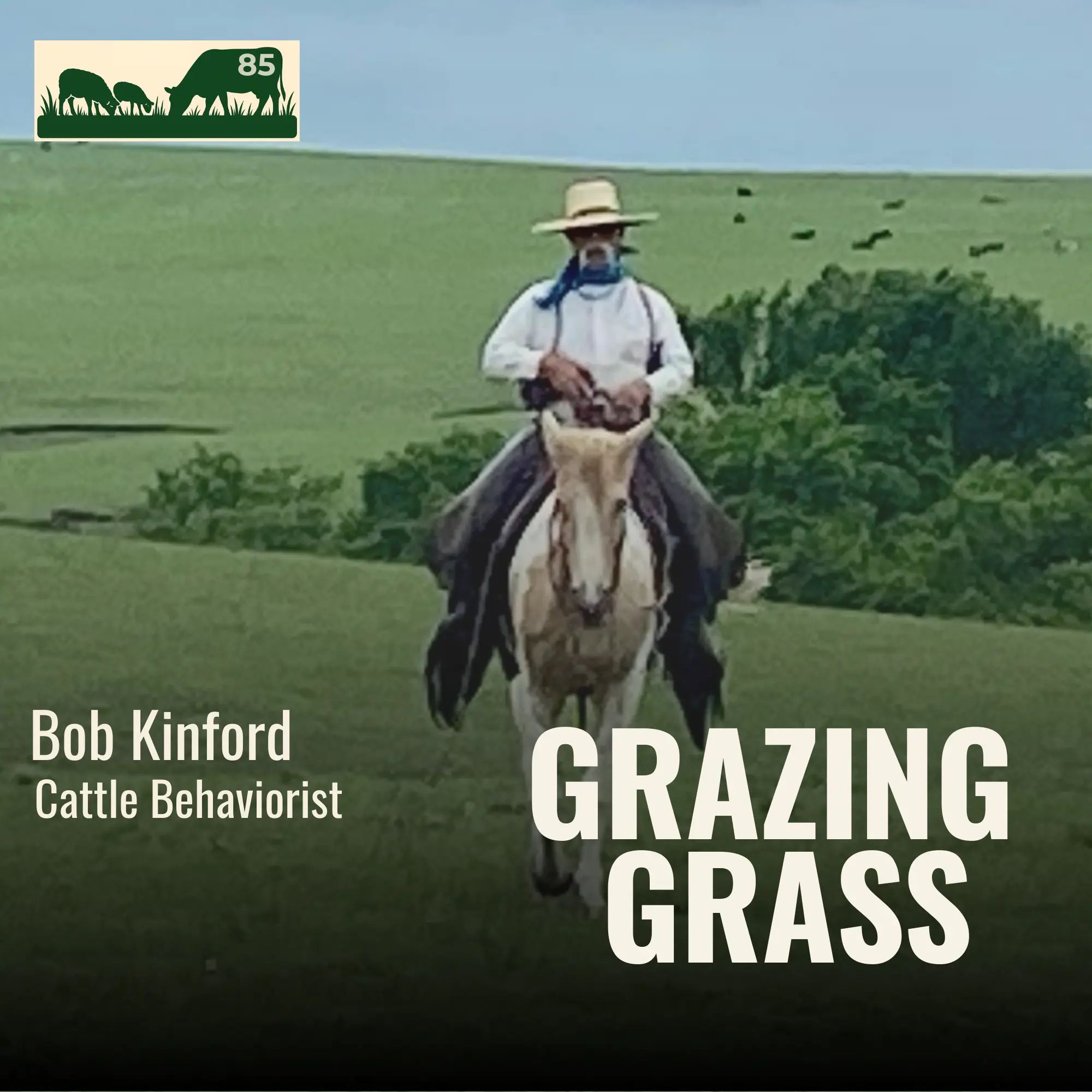 e85. Rebooting Herd Instinct with Bob Kinford