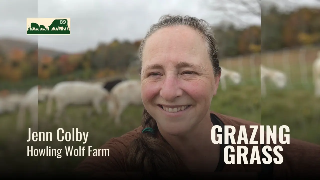 e89. Grazing Sheep for Land Improvement with Jenn Colby