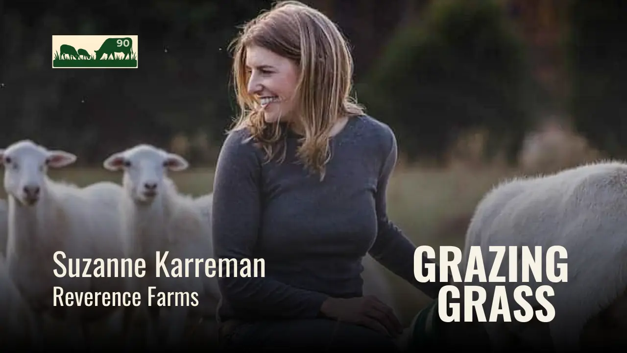 e90. Cultivating Dairy Dreams with Grass and Compassion with Suzanne Karreman