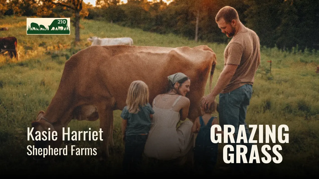 210 | Kasie Harriet, Shepherd Farms