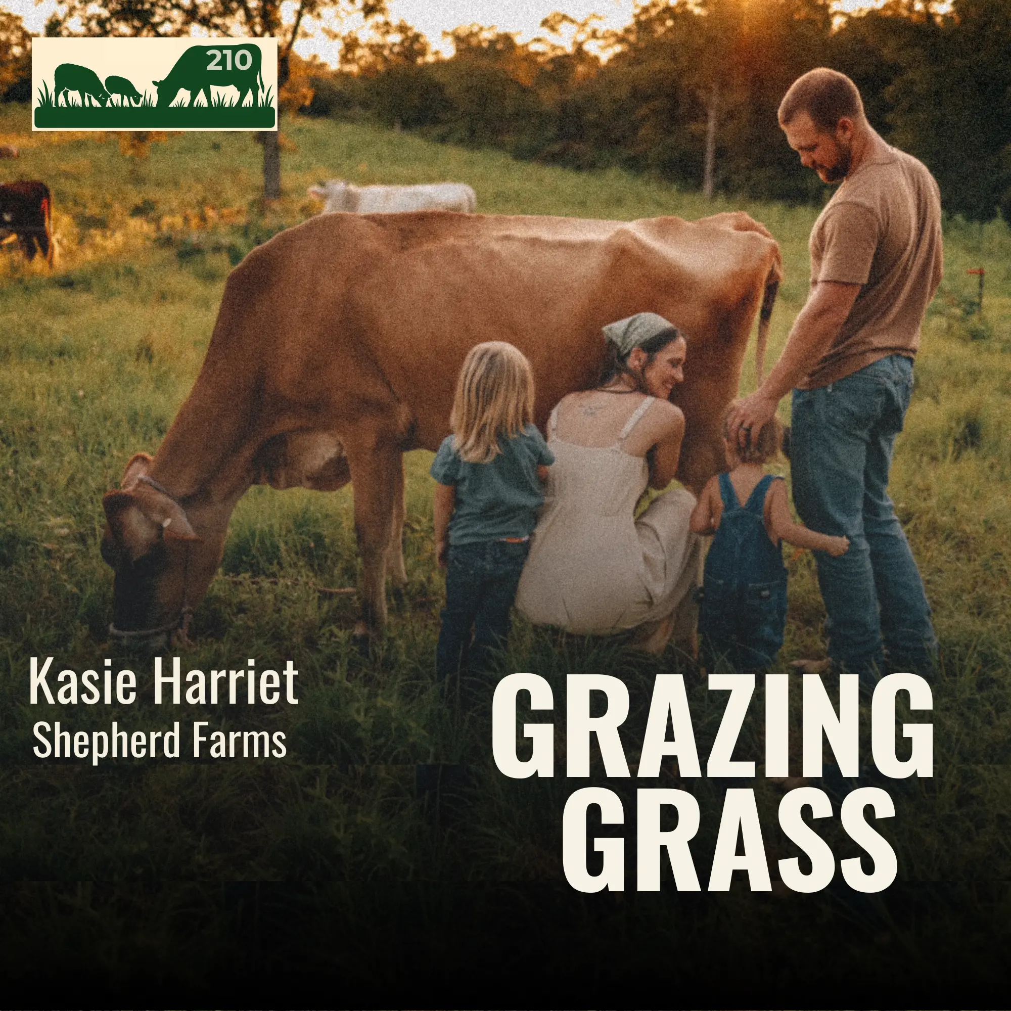 210 | Kasie Harriet, Shepherd Farms
