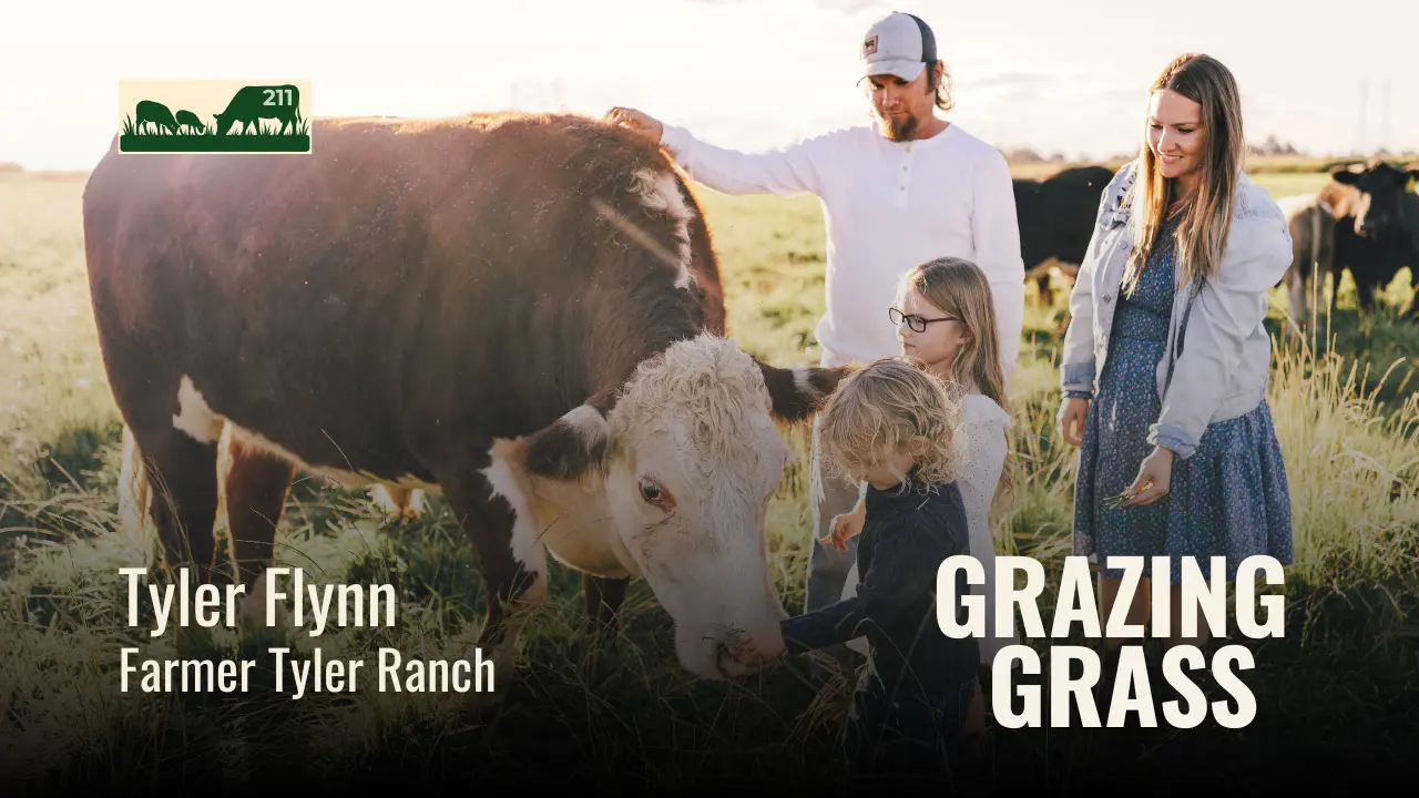 211 | Tyler Flynn, Northern California | Back to Grandfather's Land: Building a Beef Operation and a YouTube Channel From Scratch